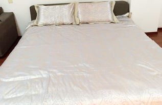 上海嘉定区酒店式公寓掠影 以花样年华服务式公寓为例